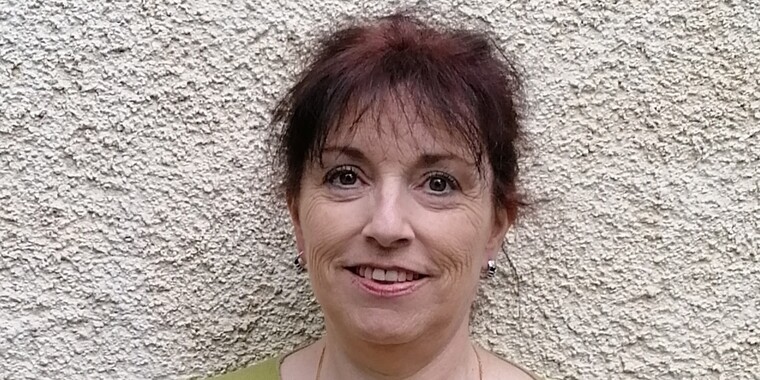 Dominique Dautel - Paulhac – 31380 – Conseiller SAFTI